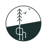 Illustration of a tree and birds and roots that look like git branches