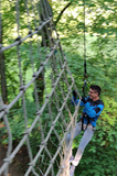 Climbing a net in a treetop