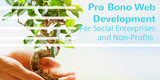 Pro Bono Web Development Social Enterprises Non Profits